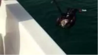 Kuşadası'nda yılan kartalı için seferberlik Kuşadası'nda yılan kartalı için seferberlik