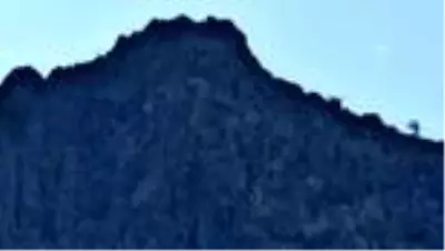 Madra Dağı'nda mahsur kalan 7 keçiyi itfaiye kurtardı Madra Dağı'nda mahsur kalan 7 keçiyi itfaiye kurtardı
