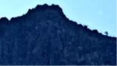 Madra Dağı'nda mahsur kalan 7 keçiyi itfaiye kurtardı Madra Dağı'nda mahsur kalan 7 keçiyi itfaiye kurtardı