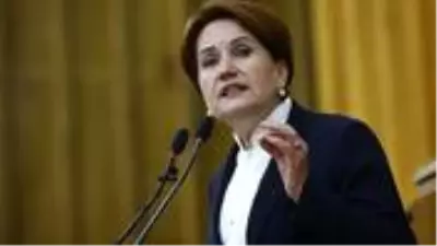 Meral Akşener'in A takımı belli oldu! MHP'den ihraç edilen Erhan Usta Başkanlık Divanı'na seçildi