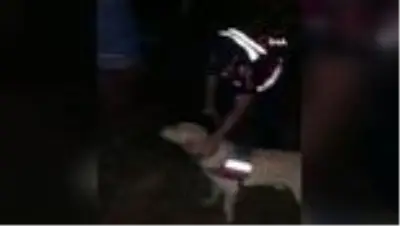 Ormanda kaybolan zihinsel engelli vatandaş ağaca sarılı şekilde uyurken bulundu Ormanda kaybolan zihinsel engelli vatandaş ağaca sarılı şekilde uyurken bulundu