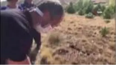 - Sanatçılar ve Başkan Çiğdem doğaya sülün saldı - Sanatçılar ve Başkan Çiğdem doğaya sülün saldı