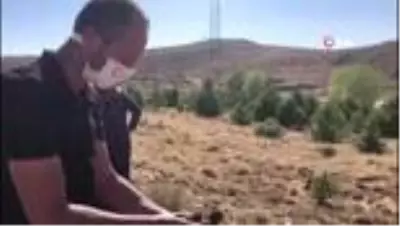 - Sanatçılar ve Başkan Çiğdem doğaya sülün saldı - Sanatçılar ve Başkan Çiğdem doğaya sülün saldı