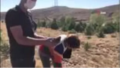 - Sanatçılar ve Başkan Çiğdem doğaya sülün saldı - Sanatçılar ve Başkan Çiğdem doğaya sülün saldı