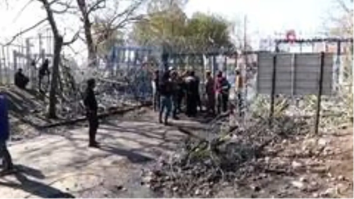 Sınır hattında 12 terörist yakalandı