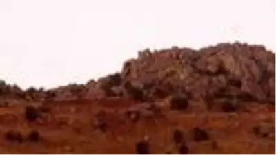 Türkiye Yamaç Paraşütü Hedef Şampiyonası'nın finali, Şırnak'ta başlıyor Türkiye Yamaç Paraşütü Hedef Şampiyonası'nın finali, Şırnak'ta başlıyor