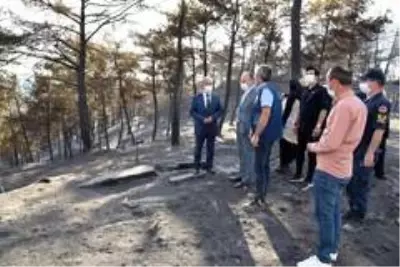 Vali Karadeniz yangın bölgesinde incelemelerde bulundu