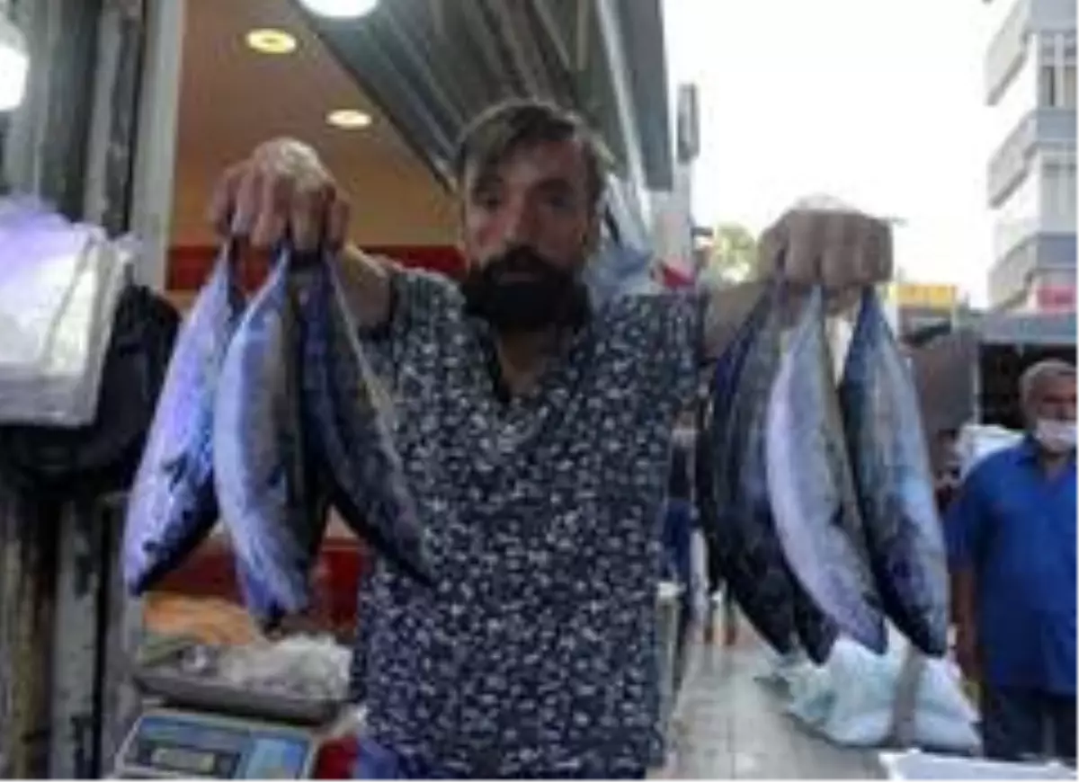 Vatandaşlar palamut stokluyor