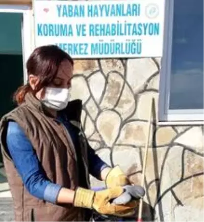 Yaralı kuşlar tedavi altına alındı Yaralı kuşlar tedavi altına alındı
