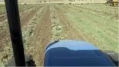 Yer fıstığı üretimindeki rekor artış Şırnaklı üreticinin yüzünü güldürdü Yer fıstığı üretimindeki rekor artış Şırnaklı üreticinin yüzünü güldürdü
