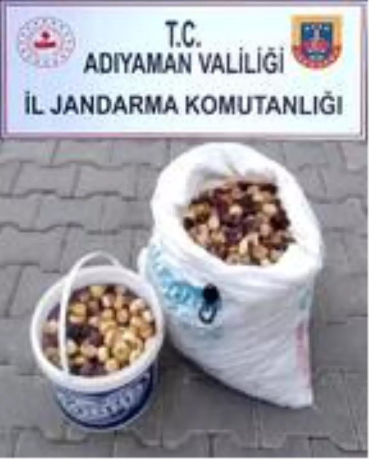 35 kilo incir çalan şüpheli, tutuklandı