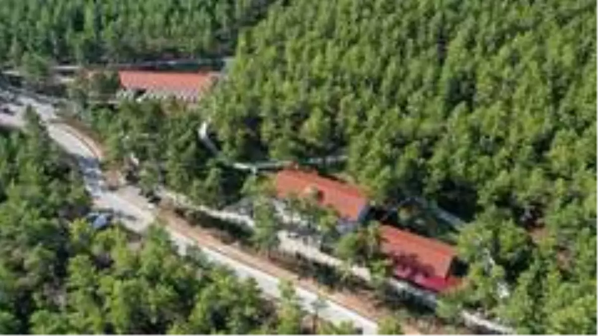 Başkan Yücel, 4 Ekim Hayvanları Koruma Günü'nde anlamlı ziyaret