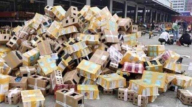 Çin'de canlı hayvanlara eziyet: 5 bin hayvan depoda ölü olarak bulundu