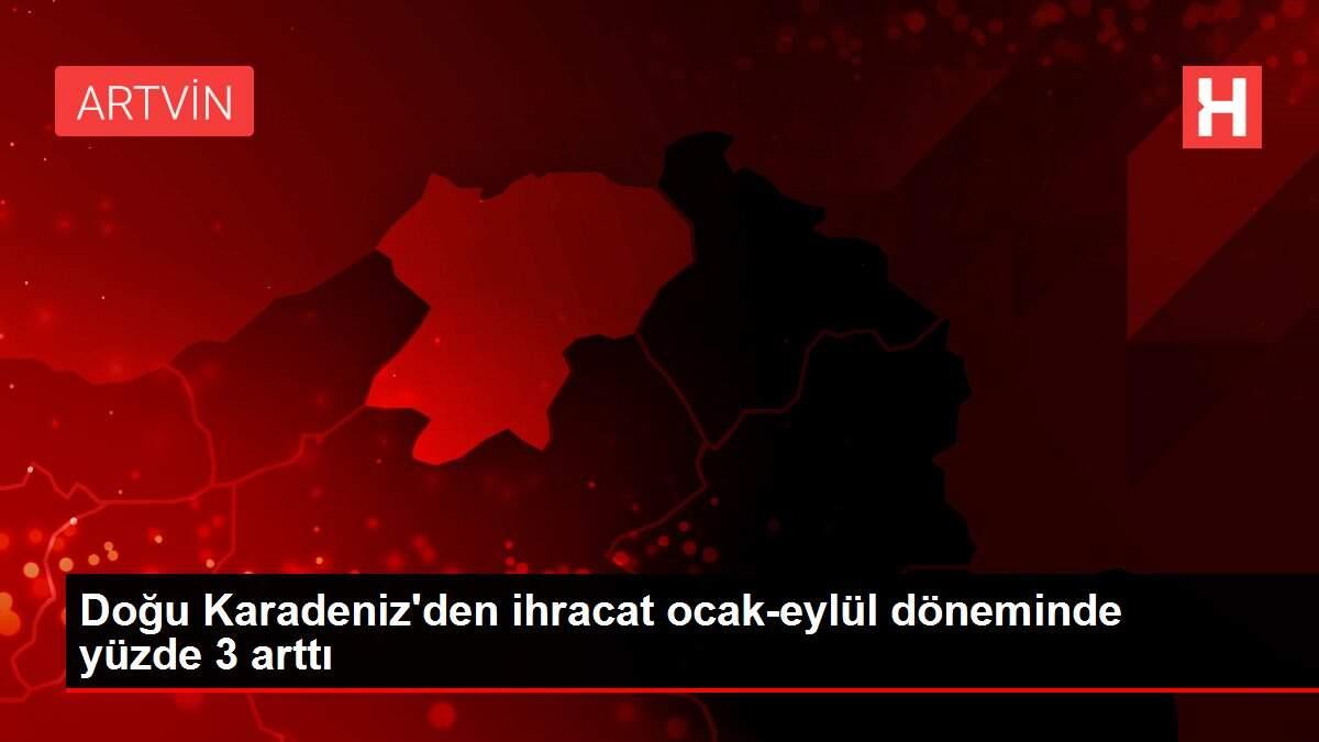 Doğu Karadeniz'den ihracat ocak-eylül döneminde yüzde 3 arttı
