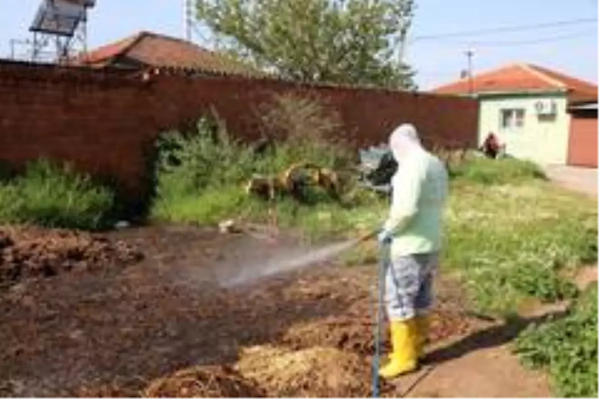 Efeler Belediyesi ilaçlama çalışmalarına devam ediyor