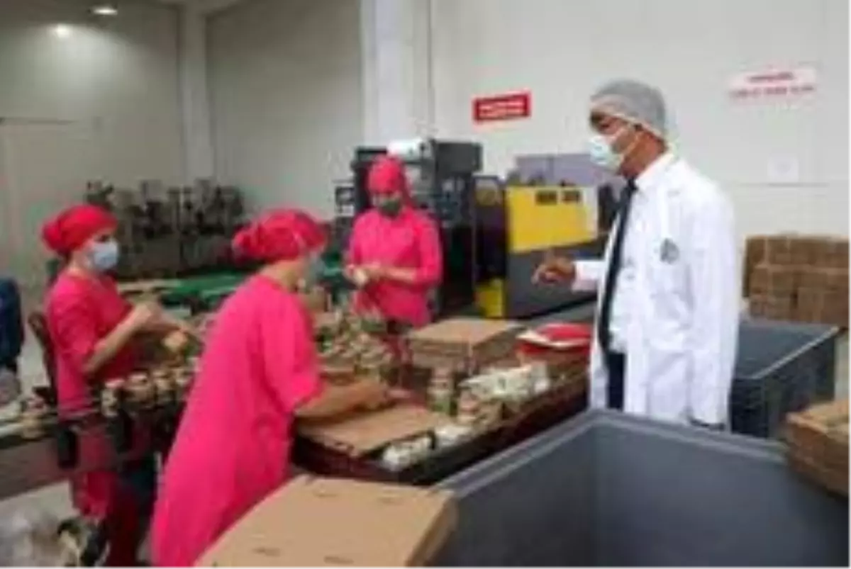 Fındık Tarım Satış Kooperatifleri Birliği'nin (FİSKOBİRLİK) ihracat ve üretim kapasitesi artıyor