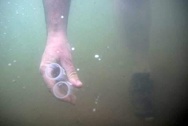 Göl suyunda ilk kez koronavirüs tespit edildi