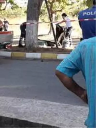 Talihsiz kaza bir evladı babasız bıraktı! Kozalak toplamak için çam ağacına çıkan vatandaş, yüksek gerilim hattına yakalanarak can verdi Talihsiz kaza bir evladı babasız bıraktı! Kozalak toplamak için çam ağacına çıkan vatandaş, yüksek gerilim hattına yakalanarak can verdi