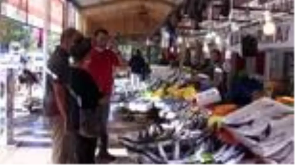 Marmara'da palamut bolluğu