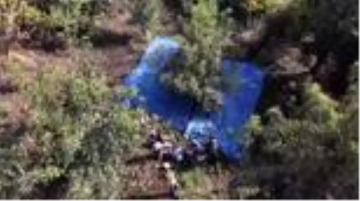 'Marmara'nın ceviz ambarı'nda hasat mesaisi başladı