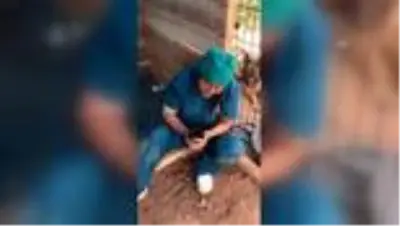 Son dakika haberi! Ölü doğan köpek yavrularını suni teneffüsle hayata döndürdü Son dakika haberi! Ölü doğan köpek yavrularını suni teneffüsle hayata döndürdü