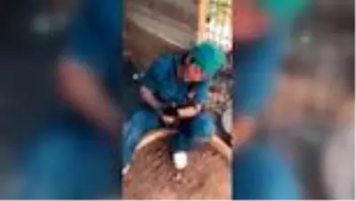 Son dakika haberi! Ölü doğan köpek yavrularını suni teneffüsle hayata döndürdü Son dakika haberi! Ölü doğan köpek yavrularını suni teneffüsle hayata döndürdü