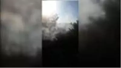Orman yangınında 5 hektar alan zarar gördü Orman yangınında 5 hektar alan zarar gördü