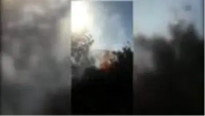 Orman yangınında 5 hektar alan zarar gördü Orman yangınında 5 hektar alan zarar gördü