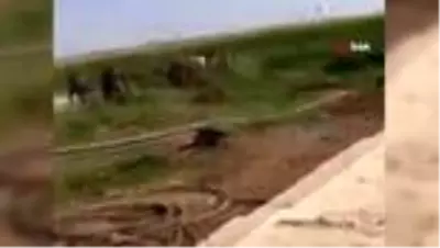 Son dakika: Şanlıurfa'da kaçak elektrik arbedesi: 1 asker yaralı Son dakika: Şanlıurfa'da kaçak elektrik arbedesi: 1 asker yaralı