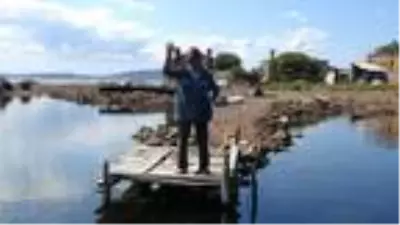 Adı Hülya Avşar ile anılan adada, 17 yıldır 'Robinson' hayatı yaşıyorlar Adı Hülya Avşar ile anılan adada, 17 yıldır 'Robinson' hayatı yaşıyorlar