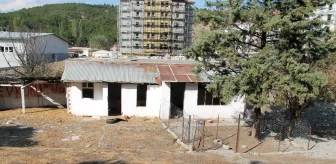 Amasya'da köpek ölümleri iddiası