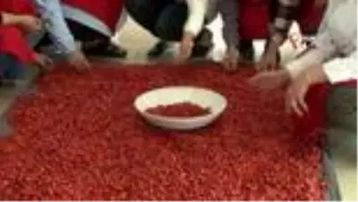 'Dağlarda yetişiyor, faydası saymakla bitmiyor' 'Dağlarda yetişiyor, faydası saymakla bitmiyor'