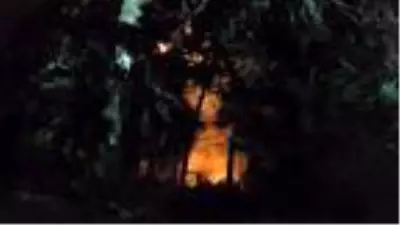 KARTAL'DA ORMANLIK BÖLGEDEKİ AHŞAP BARAKA ALEV ALEV YANDI KARTAL'DA ORMANLIK BÖLGEDEKİ AHŞAP BARAKA ALEV ALEV YANDI