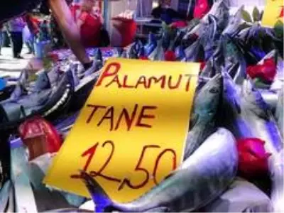 Palamut büyüyor, fiyatı küçülüyor Palamut büyüyor, fiyatı küçülüyor