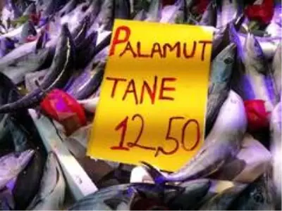 Palamut büyüyor, fiyatı küçülüyor Palamut büyüyor, fiyatı küçülüyor