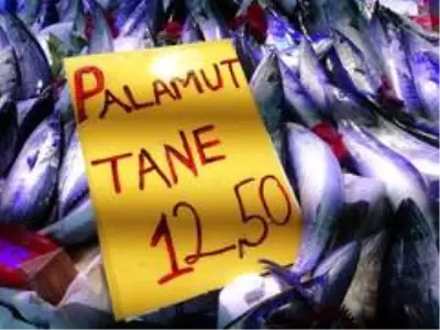 Palamut büyüyor, fiyatı küçülüyor Palamut büyüyor, fiyatı küçülüyor