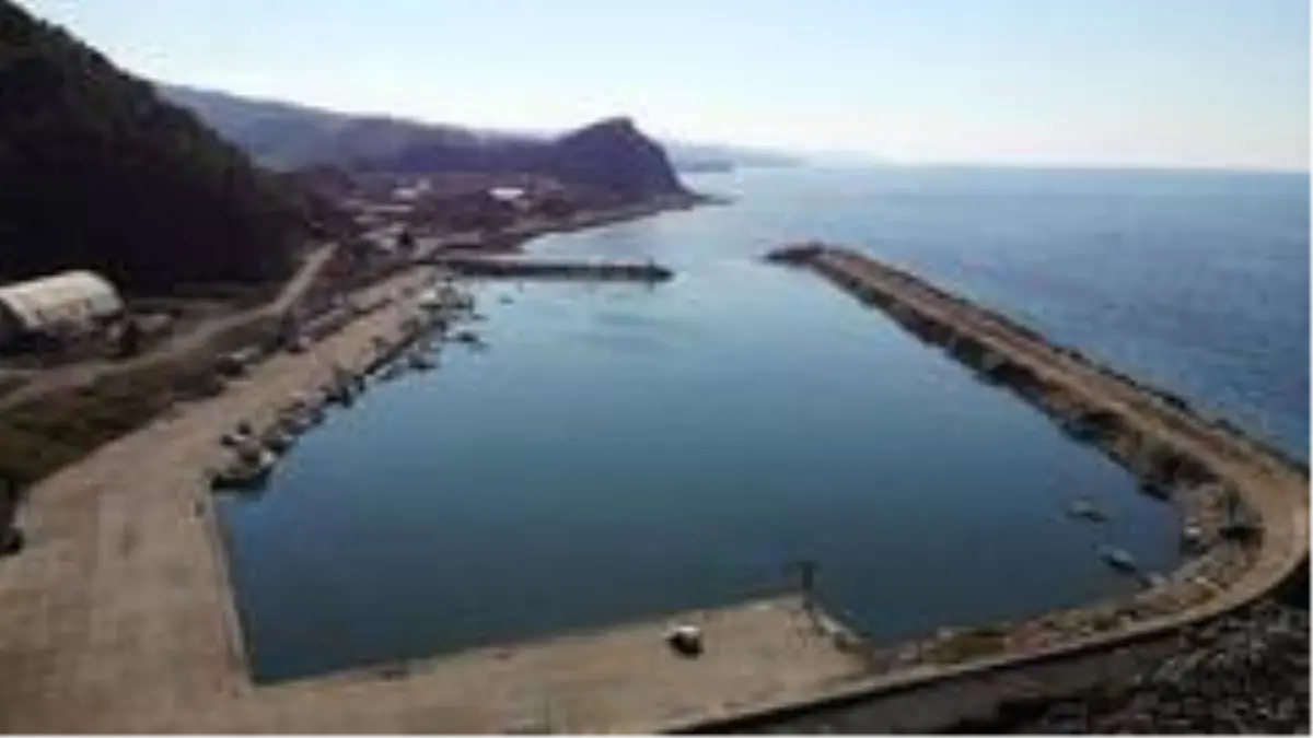 Palamut küstü, fiyatlar yükseldi