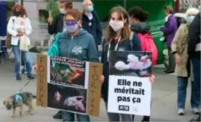 - Paris'te kürk karşıtları ve hayvan hakları savunucularından eylem - Paris'te kürk karşıtları ve hayvan hakları savunucularından eylem