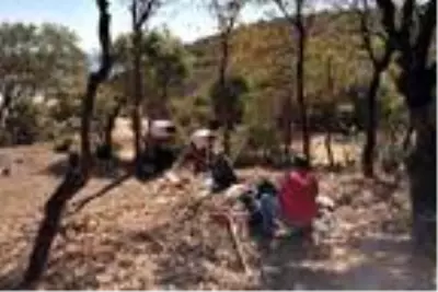 Tatil beldesinde 30 ton çöp toplayan personelden tepki: Atma beya Tatil beldesinde 30 ton çöp toplayan personelden tepki: Atma beya