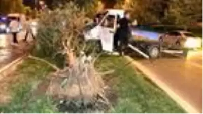 Tekeri kopan çekici kamyonet ağaca çarptı, sürücü yaralandı Tekeri kopan çekici kamyonet ağaca çarptı, sürücü yaralandı