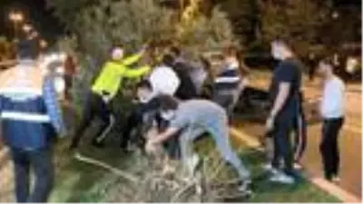 Tekeri kopan çekici kamyonet ağaca çarptı, sürücü yaralandı Tekeri kopan çekici kamyonet ağaca çarptı, sürücü yaralandı