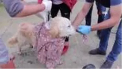 Bu kez onlar podyuma çıktı Bu kez onlar podyuma çıktı