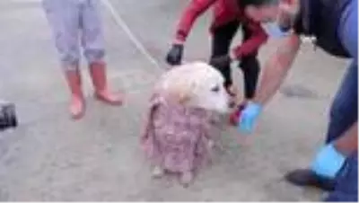 Bu kez onlar podyuma çıktı