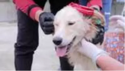 Bu kez onlar podyuma çıktı