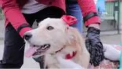Bu kez onlar podyuma çıktı