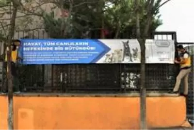 Esenyurt Belediyesi, hayvan dostlarını unutmadı