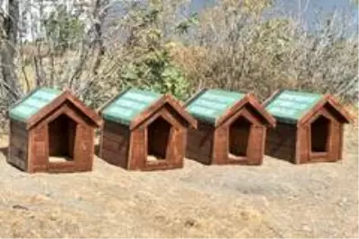 Esenyurt Belediyesi, hayvan dostlarını unutmadı Esenyurt Belediyesi, hayvan dostlarını unutmadı