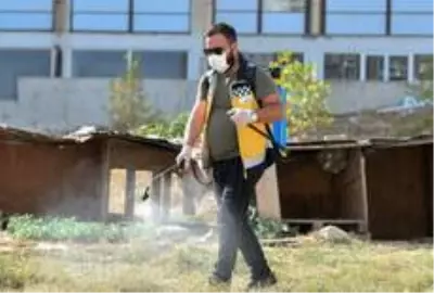 Esenyurt Belediyesi, hayvan dostlarını unutmadı