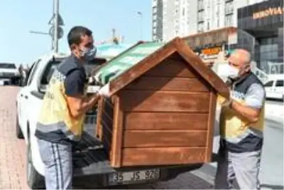 Esenyurt Belediyesi, hayvan dostlarını unutmadı
