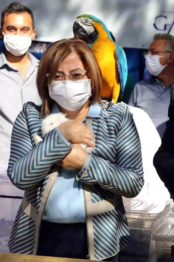Gaziantep Hayvanat Bahçesi�nde �Şempanze Adası� ziyarete açıldı Haberler